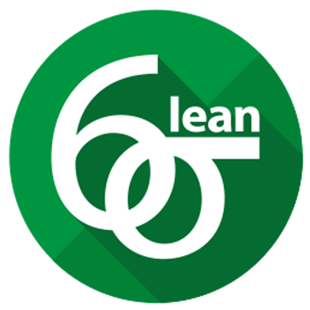 Lean Six Sigma Traning and Consulting